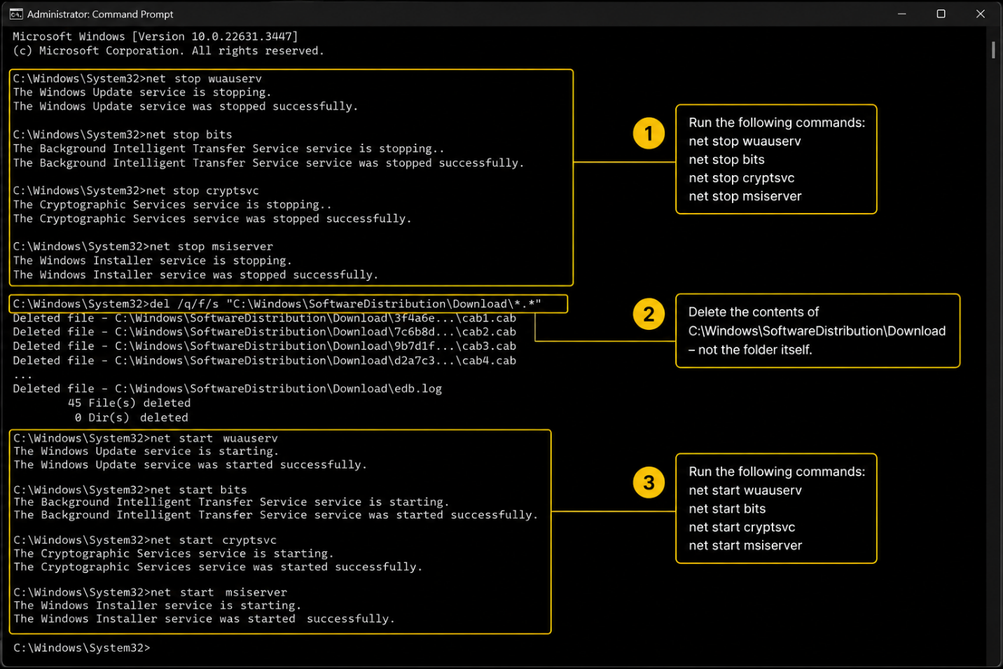 CMD Window